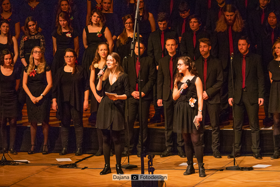 WEB_DajanaFotodesign_PsychoChor_Zurückgespult_20190210_0145